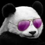 Chiba55